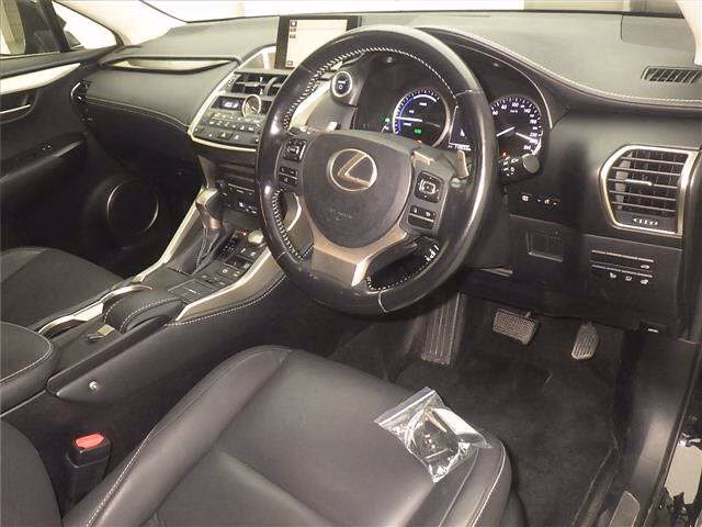 LEXUS NX300H