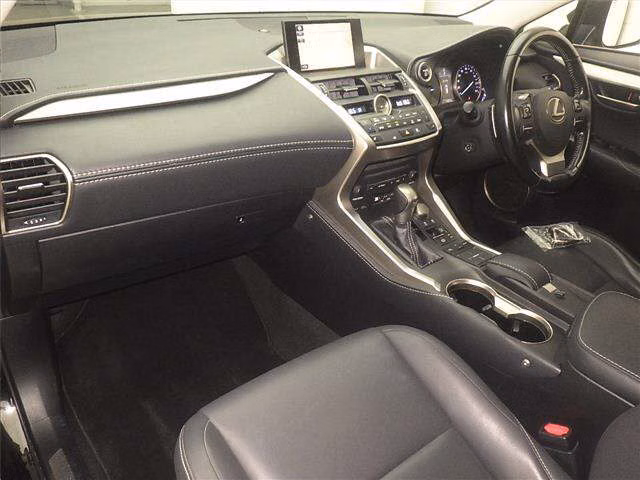 LEXUS NX300H