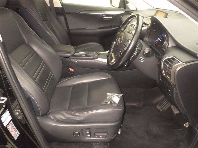 LEXUS NX300H
