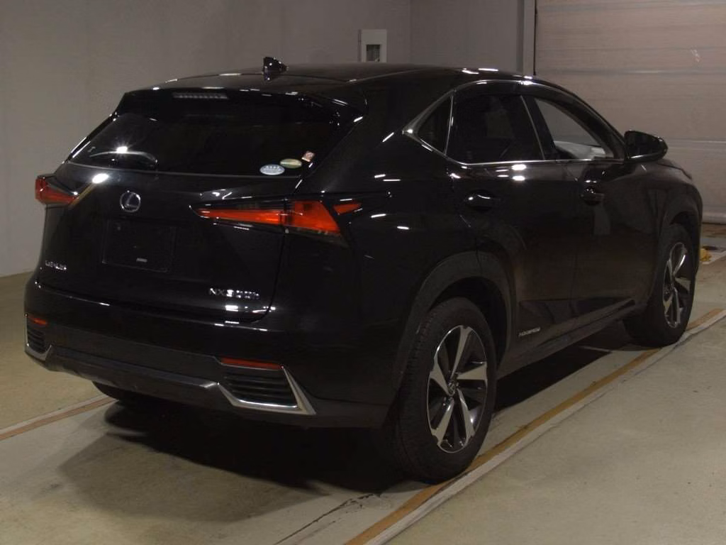 LEXUS NX300H