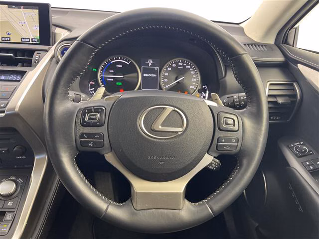 LEXUS NX300H