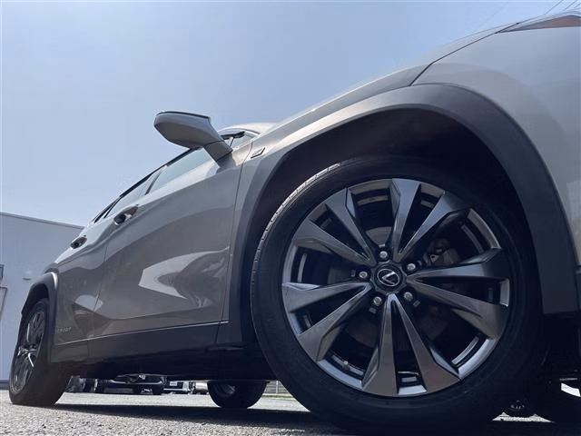 LEXUS UX250H