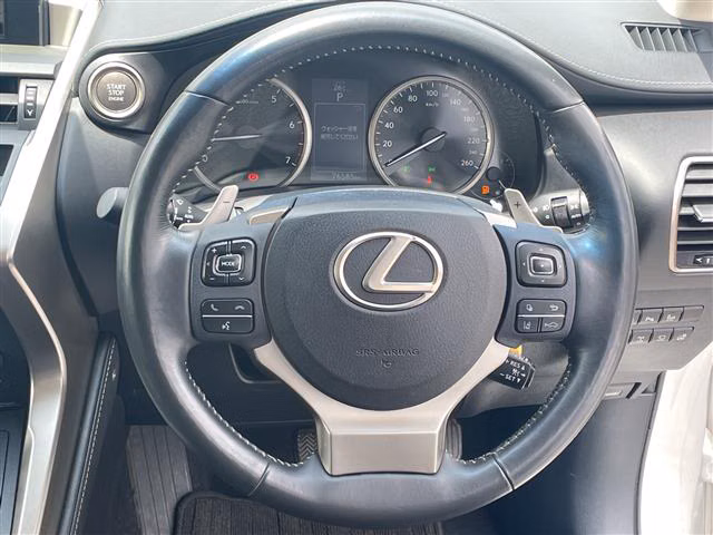 LEXUS NX200T