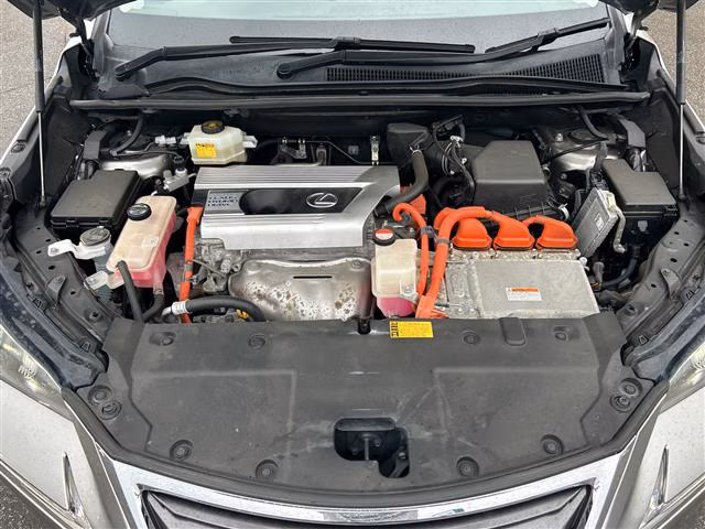 LEXUS NX300