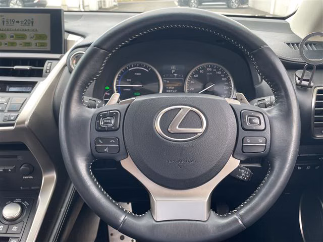 LEXUS NX300H