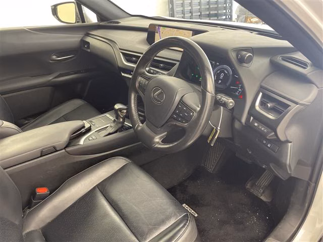 LEXUS UX250H