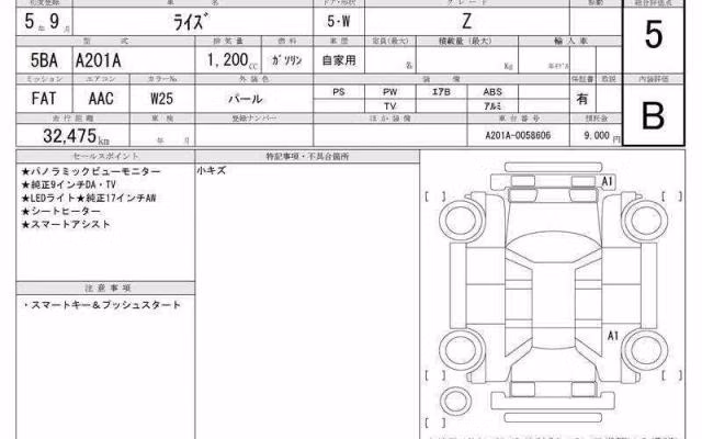 TOYOTA RAIZE