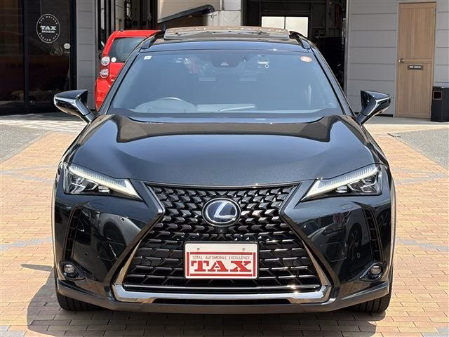 LEXUS UX250H