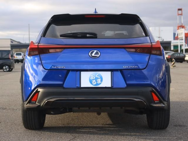 LEXUS UX250H