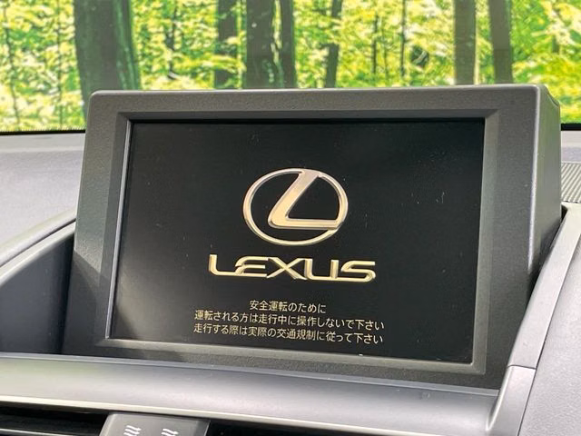 LEXUS HS250H