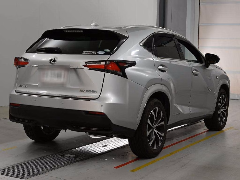LEXUS NX300