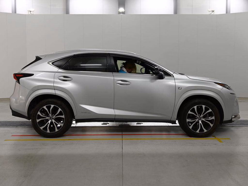 LEXUS NX300