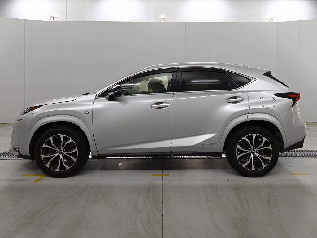 LEXUS NX300