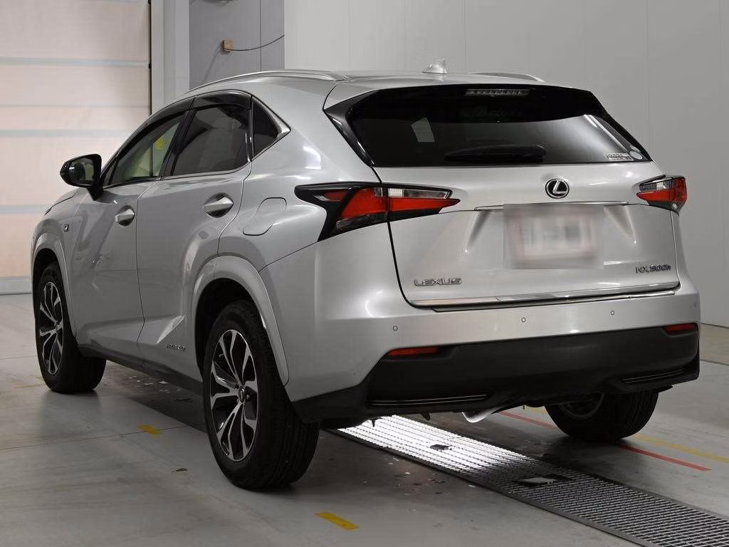 LEXUS NX300