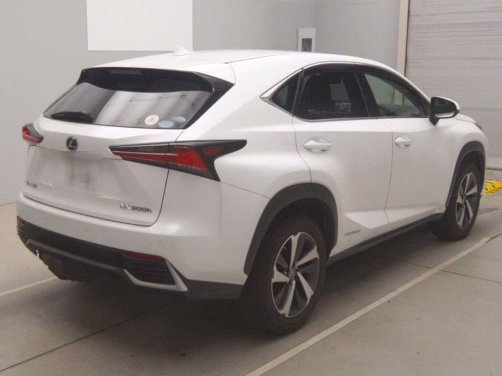 LEXUS NX300H