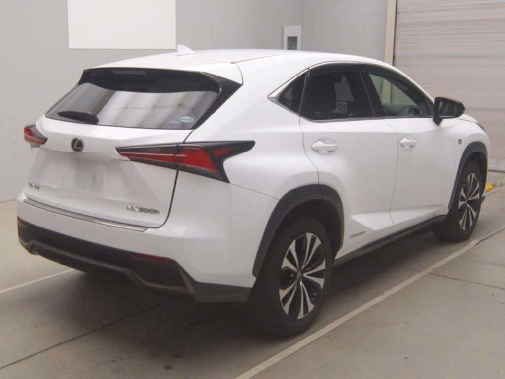 LEXUS NX300H