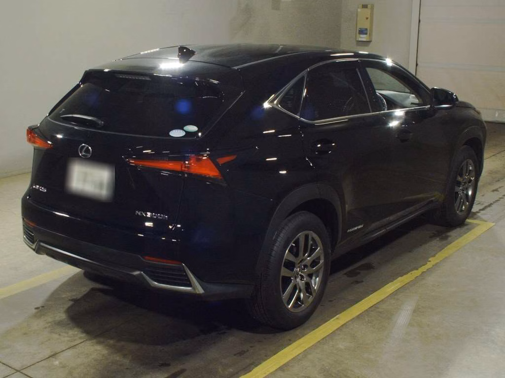 LEXUS NX300