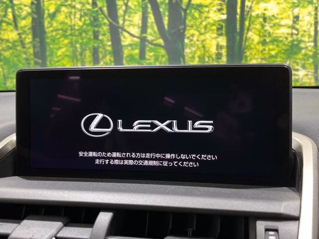 LEXUS NX300