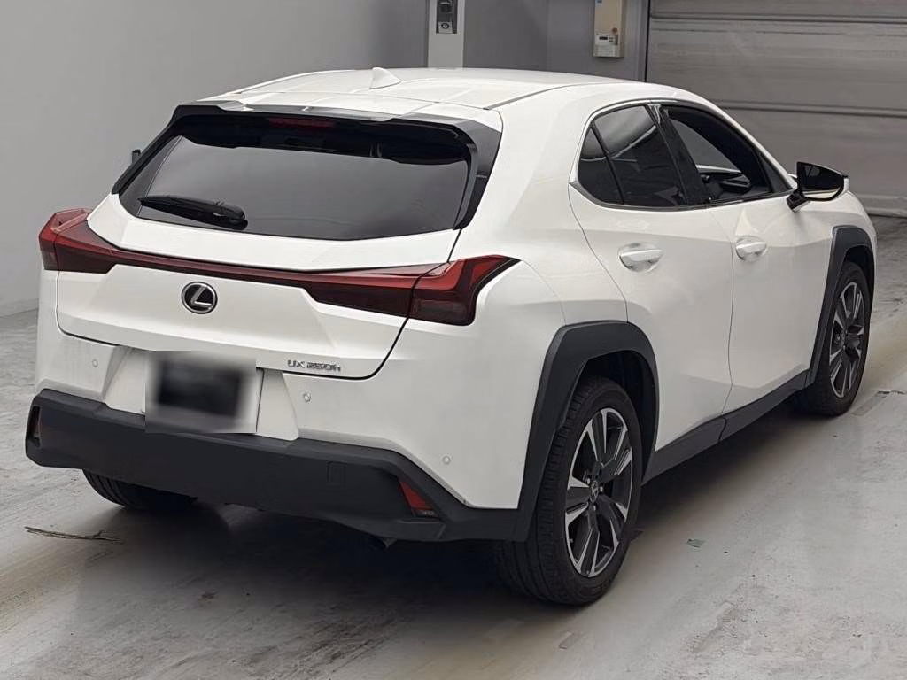 LEXUS UX250H