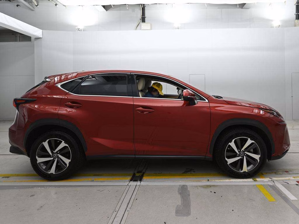 LEXUS NX300