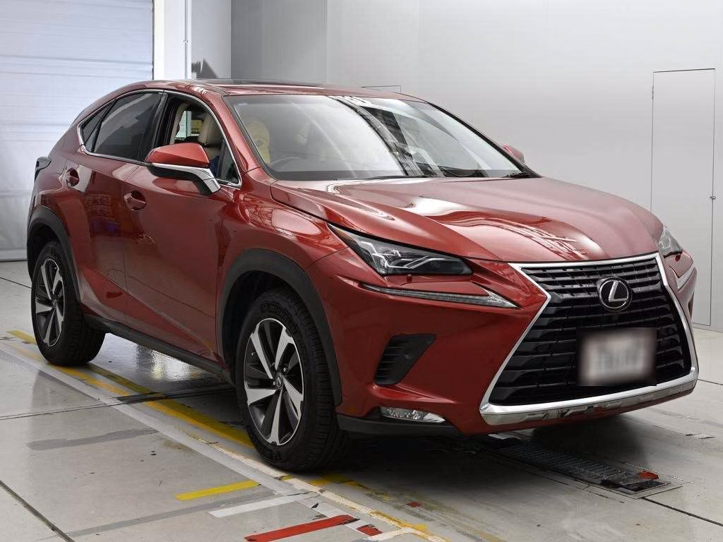 LEXUS NX300