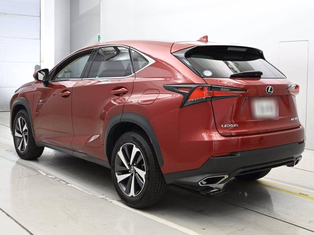 LEXUS NX300
