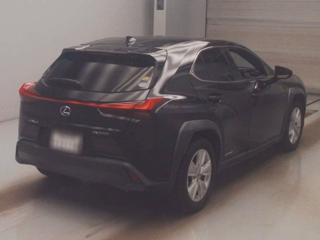 LEXUS UX250H
