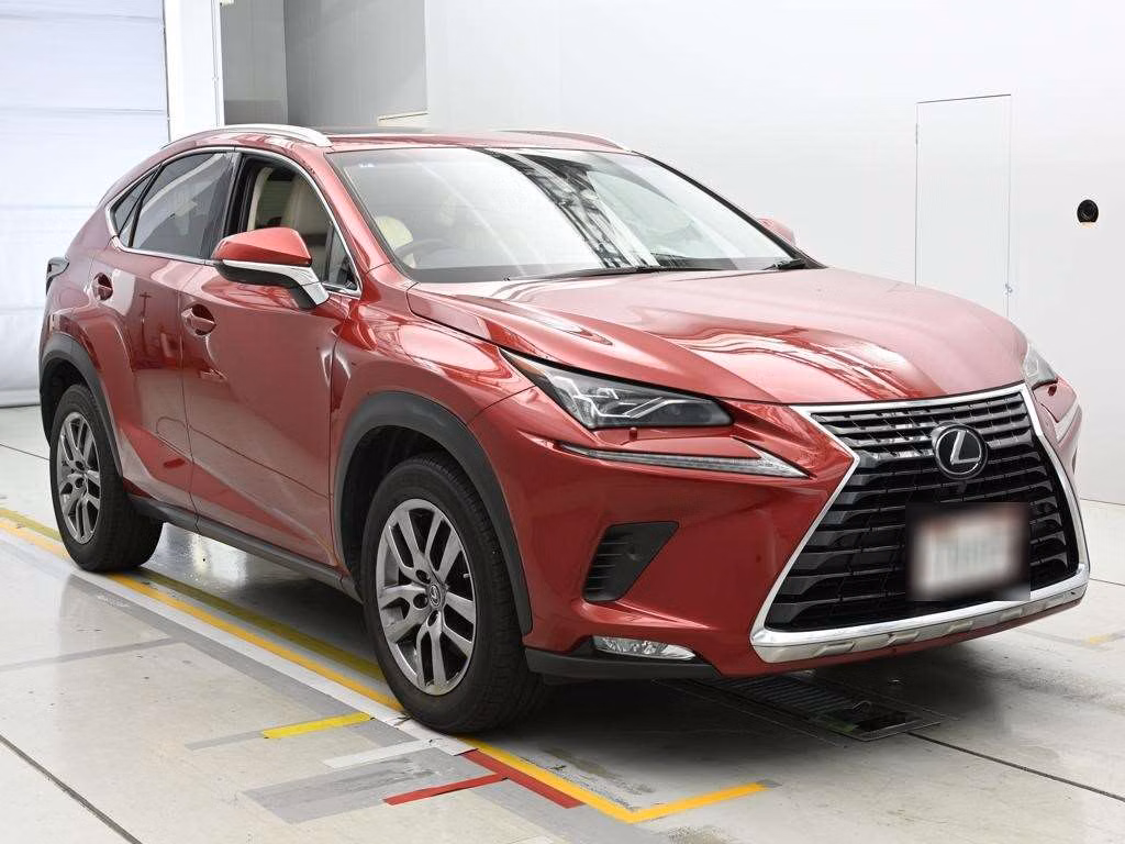 LEXUS NX300