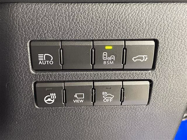 LEXUS NX300H