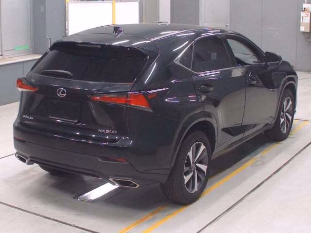 LEXUS NX300