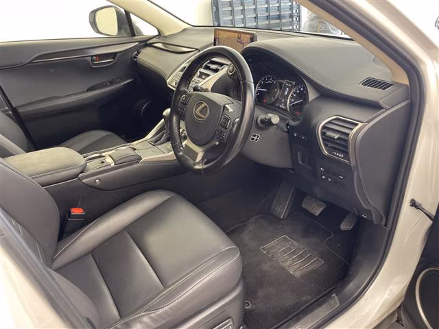 LEXUS NX300