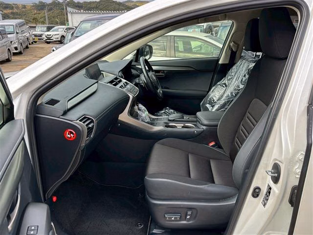 LEXUS NX300H