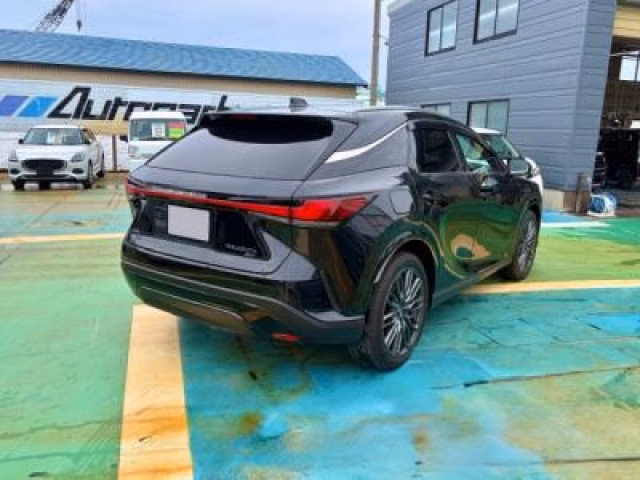 LEXUS RX450H+