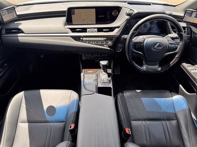 LEXUS ES300H