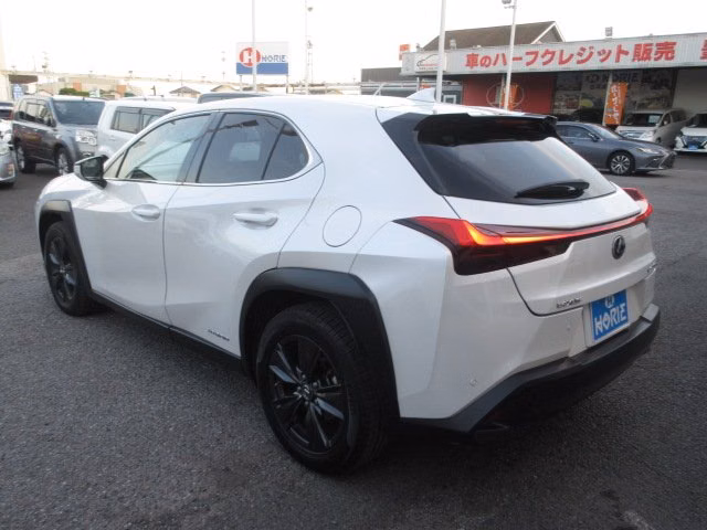 LEXUS UX250H
