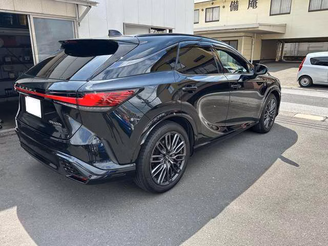 LEXUS RX500H