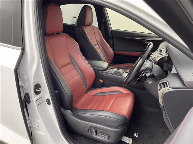 LEXUS NX300