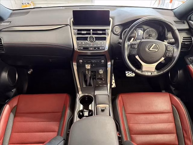 LEXUS NX300