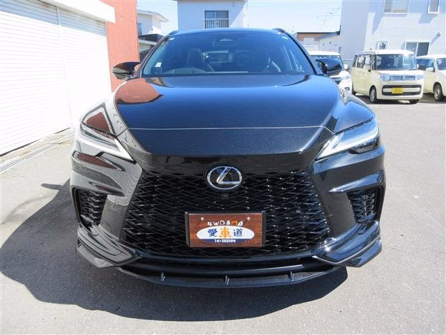 LEXUS RX500H
