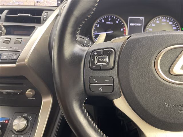LEXUS NX300