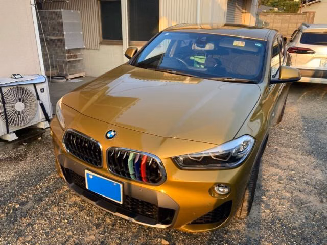 BMW X2