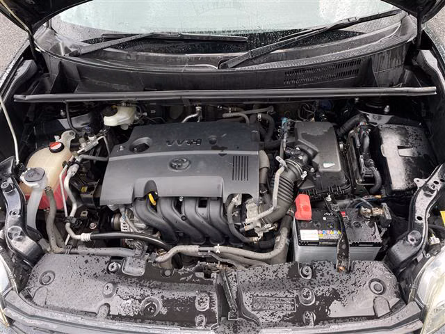 TOYOTA COROLLA RUMION