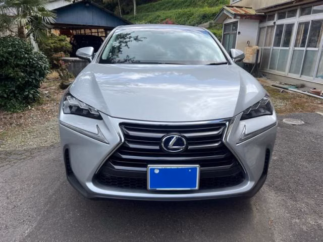 LEXUS NX300