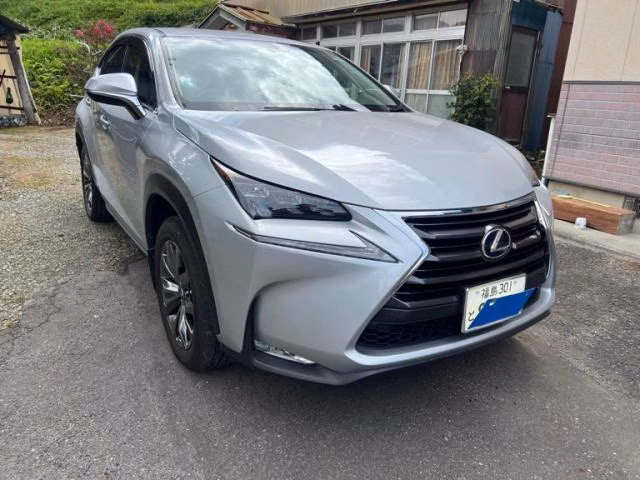 LEXUS NX300