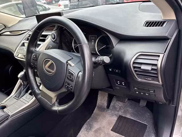 LEXUS NX300