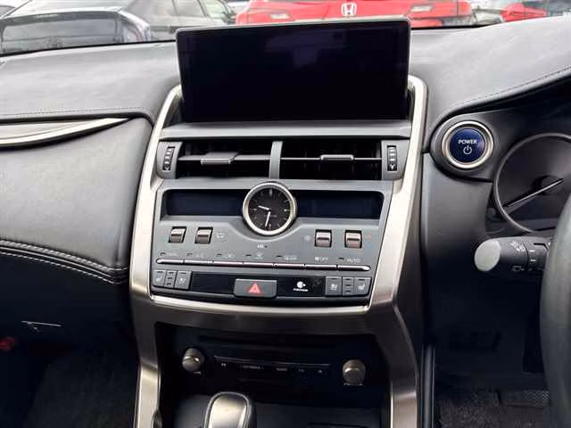 LEXUS NX300