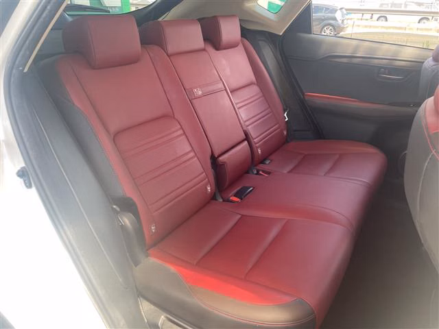LEXUS NX300