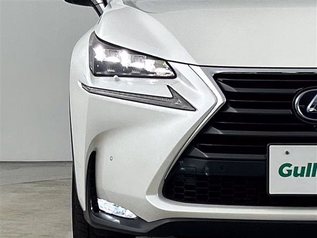 LEXUS NX300