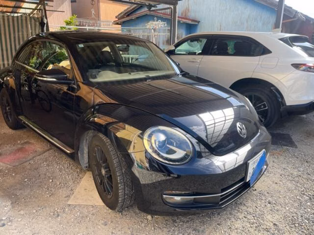 VOLKSWAGEN BEETLE