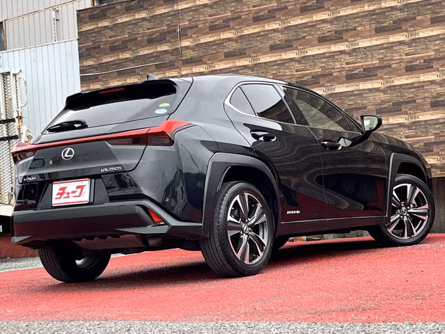 LEXUS UX250H